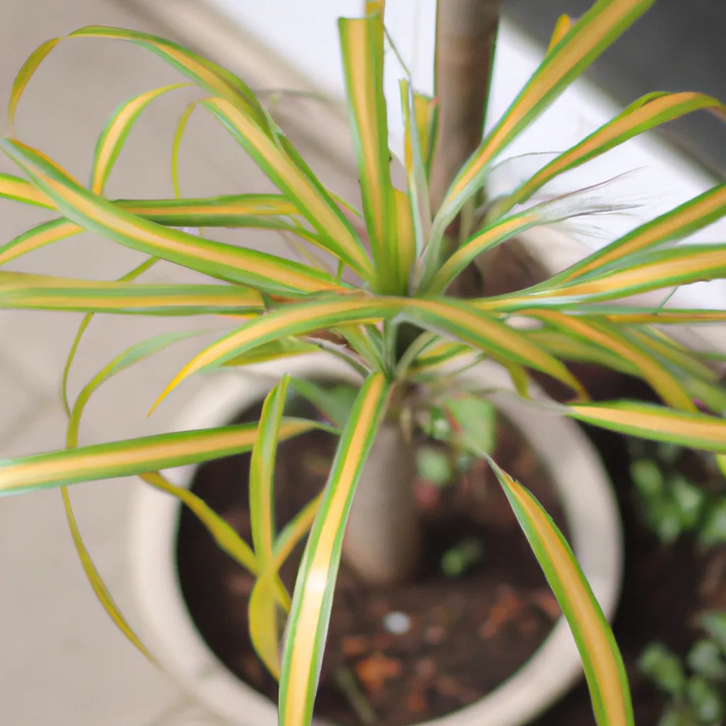 Tutorial Os perigos de deixar plantas tropicais sem cuidados