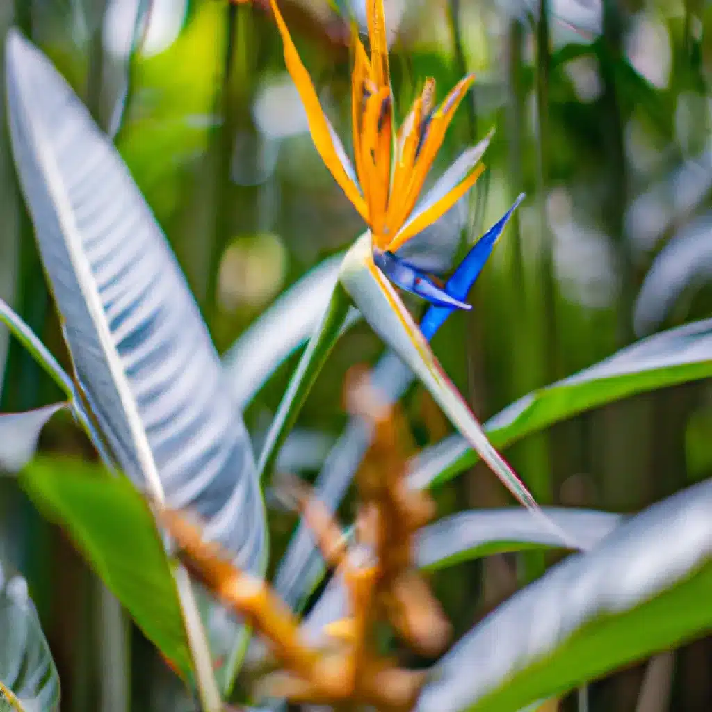 Dicas beleza jardins biomas tropicais