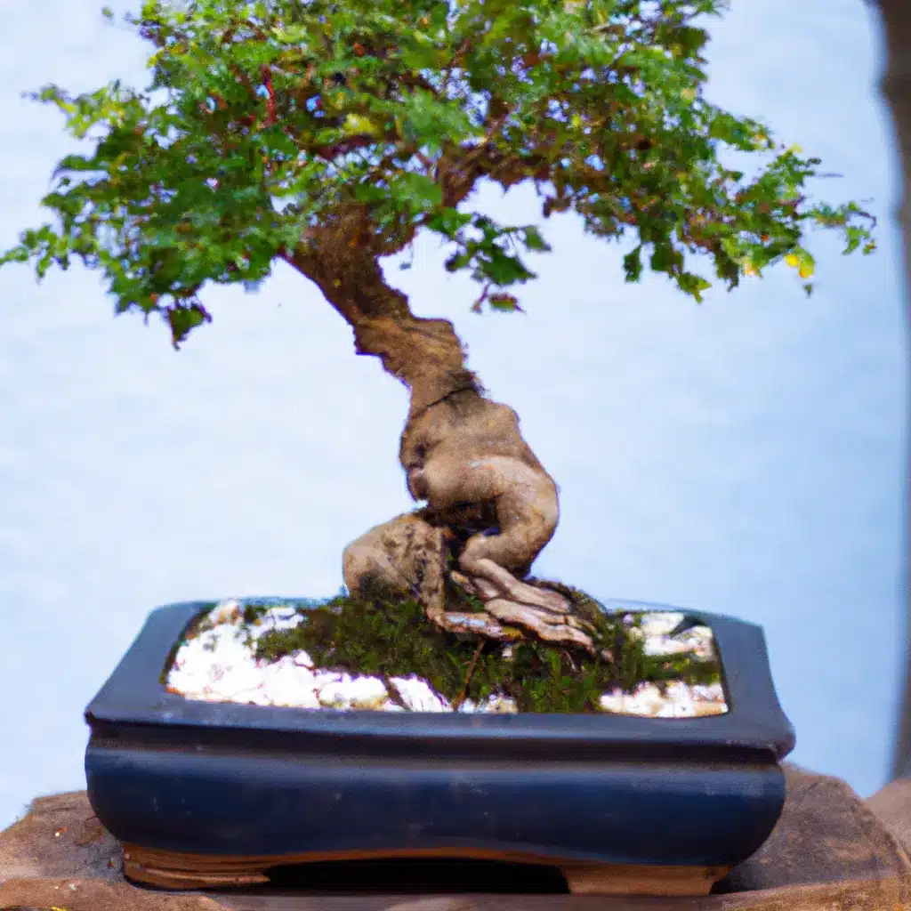 Dicas bonsais decorar jardins