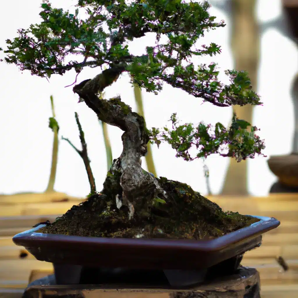 Dicas estilo bonsai japones criacao