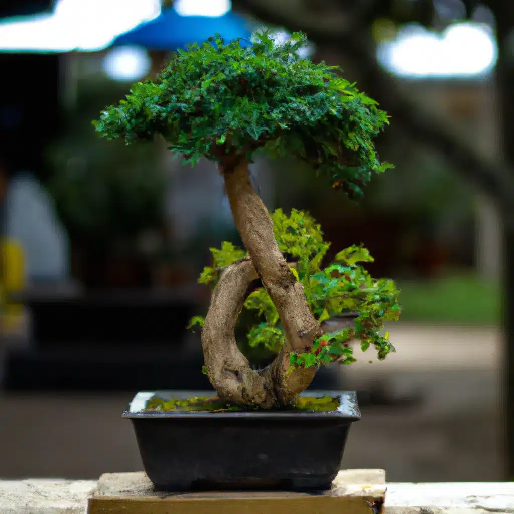 Dicas estilo japones historia arte bonsai