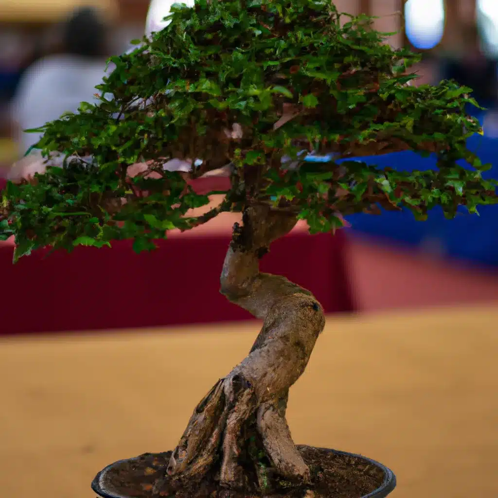 Dicas feiras bonsai internacional Dicas feiras bonsai internacional