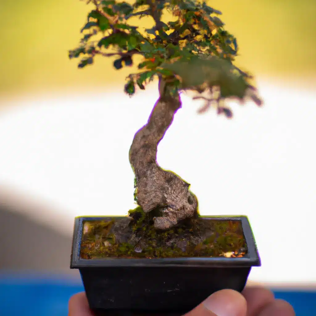 Dicas garimpando por novas especies bonsai