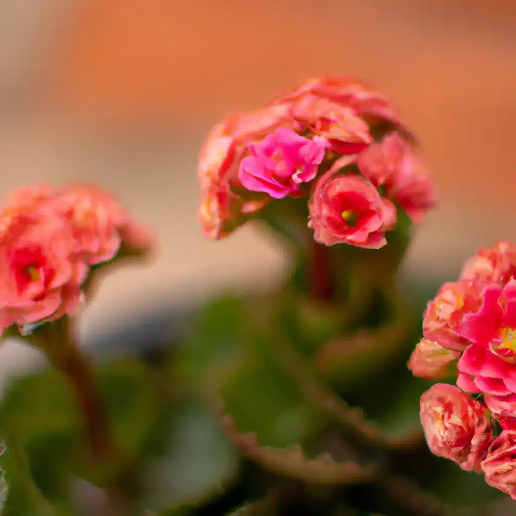 Dicas tipos flores resistem frios