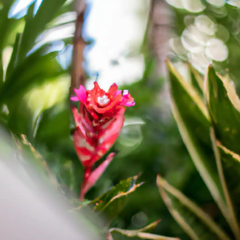 Fotos beleza jardins biomas tropicais