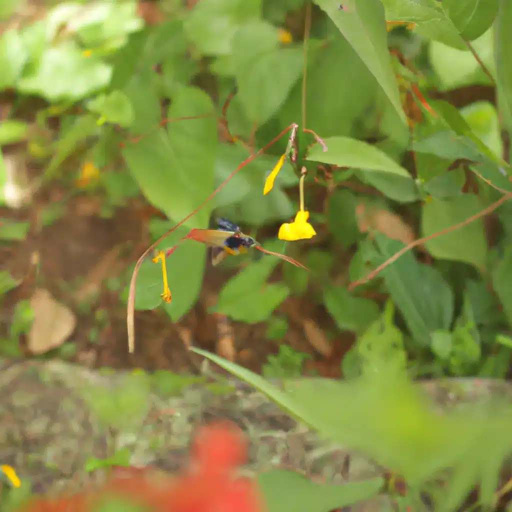 Fotos como permacultura ajuda preservar especies