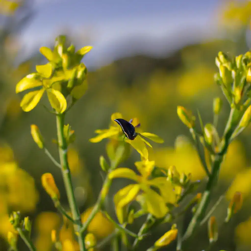Fotos cuidado pragas primavera proteger saiba