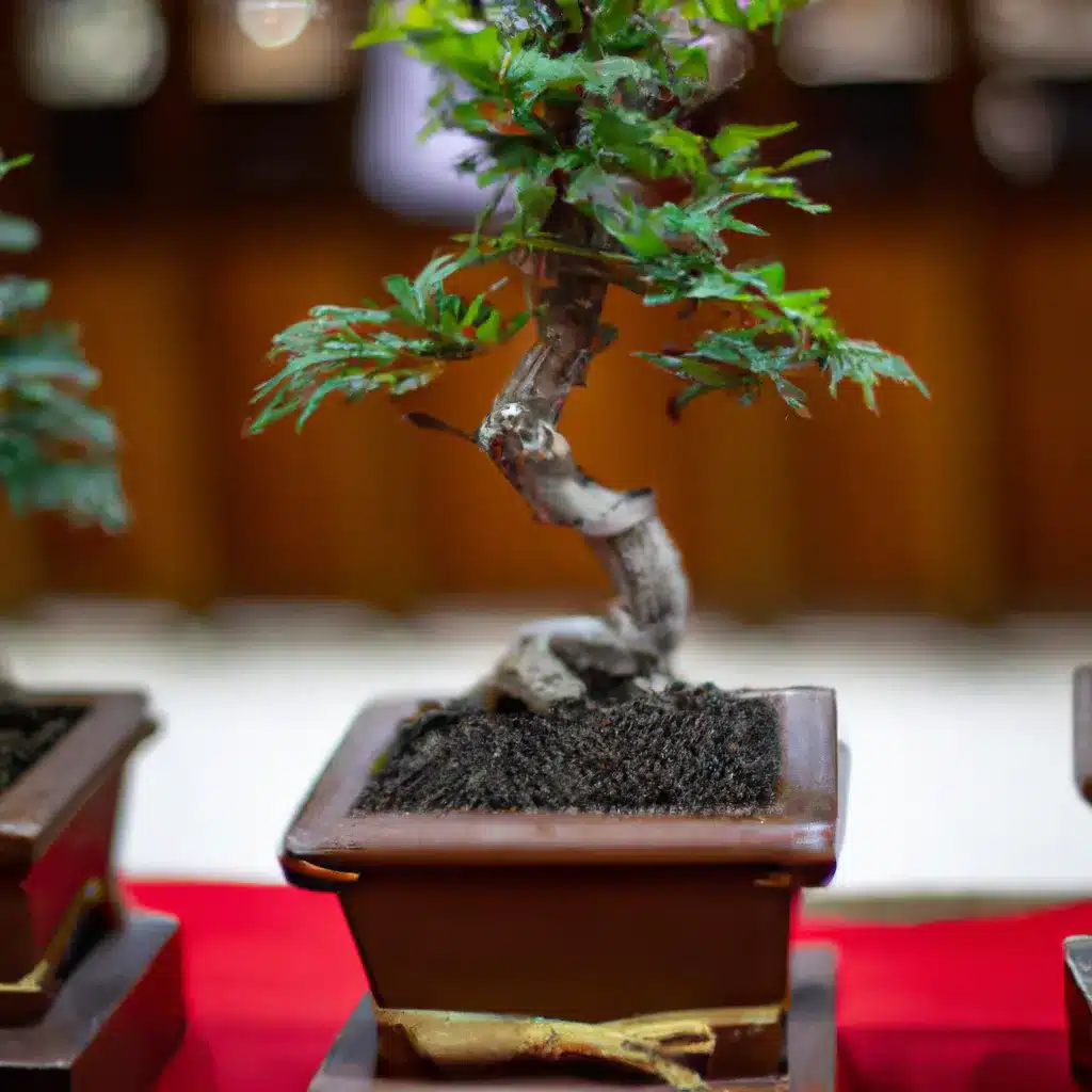Fotos estilo japones historia arte bonsai