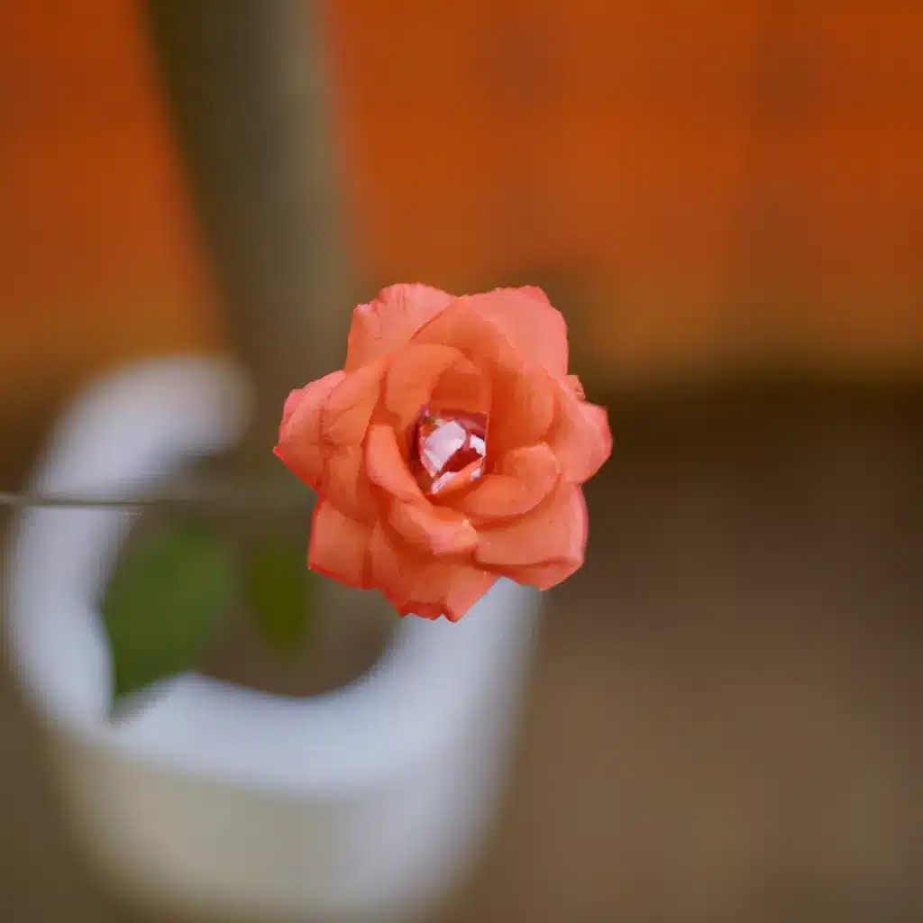 Fotos porque perfumes flores populares