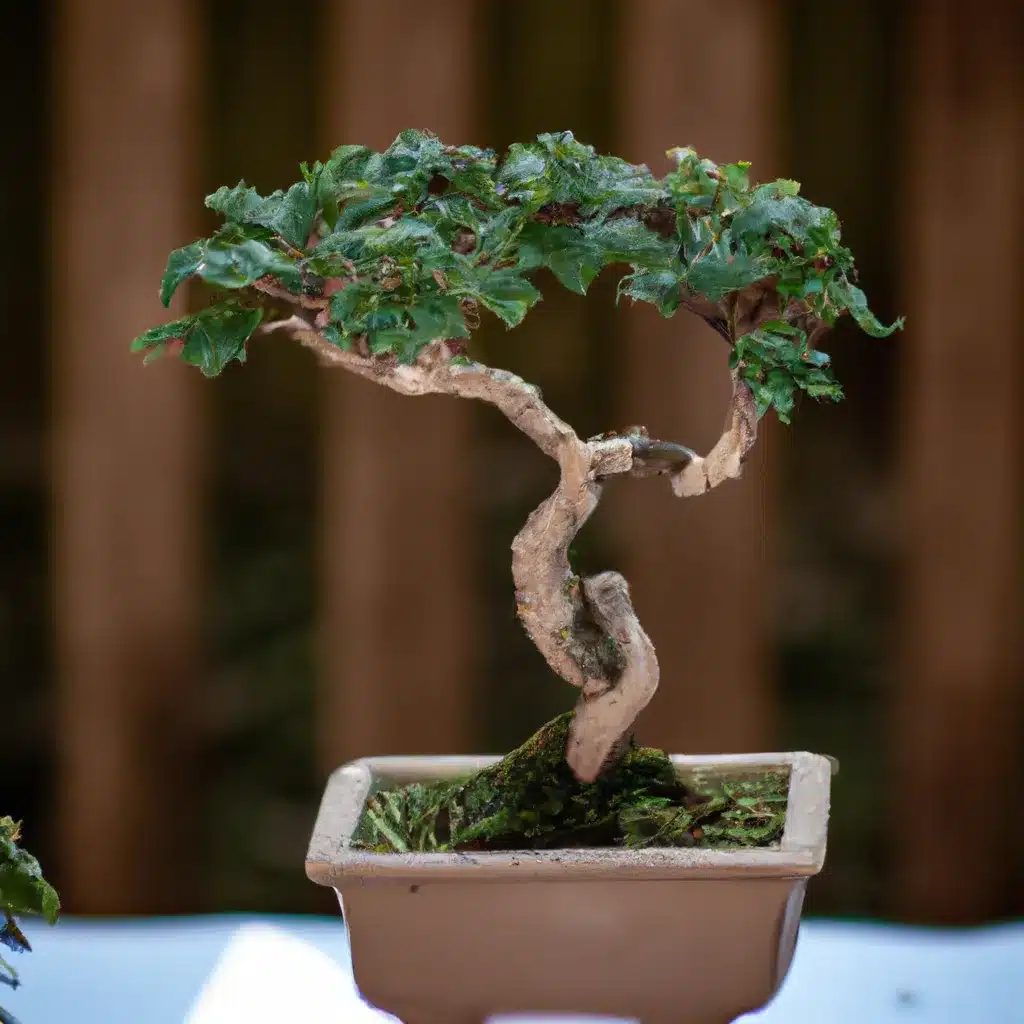 Fotos tecnica bonsai forma influencia arte