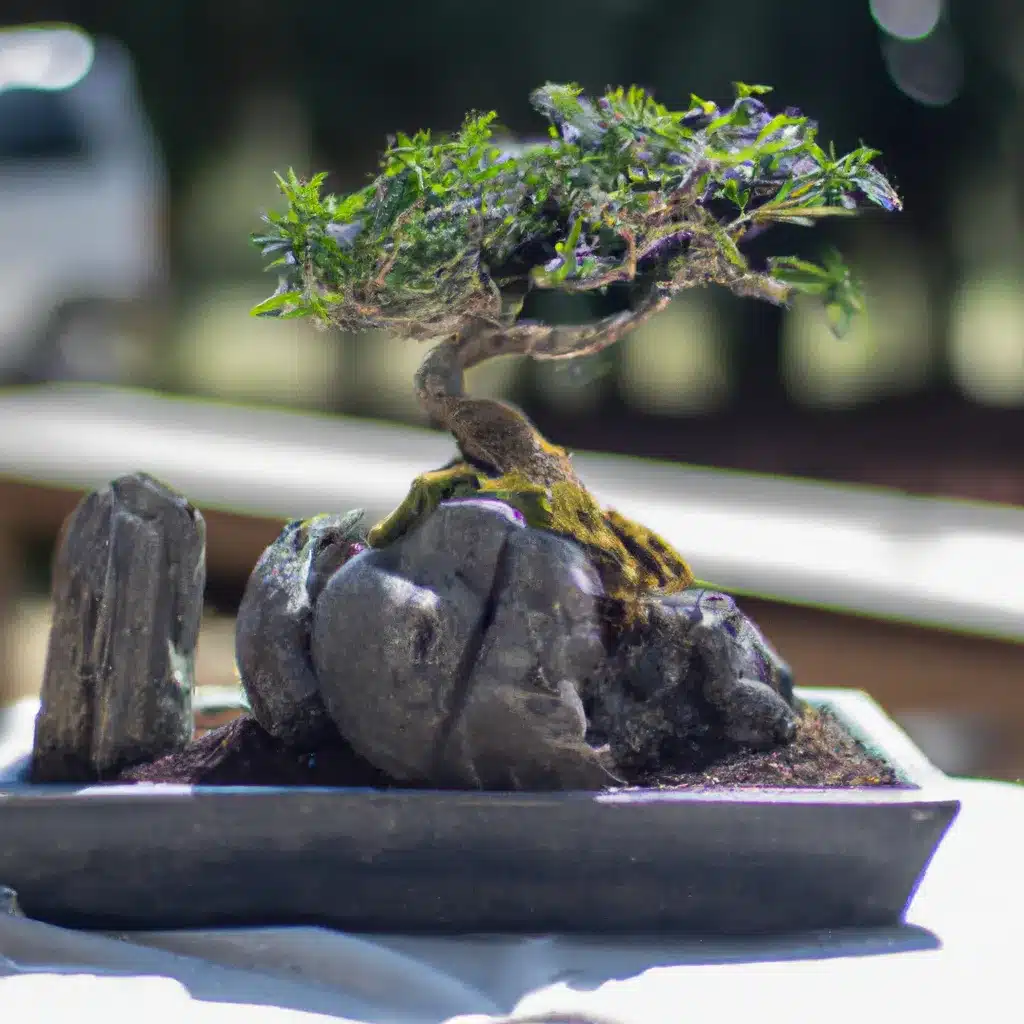 Ideias arte tecnica bonsai formacao