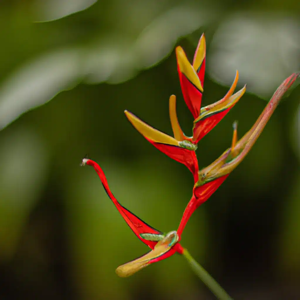 Ideias beleza jardins biomas tropicais