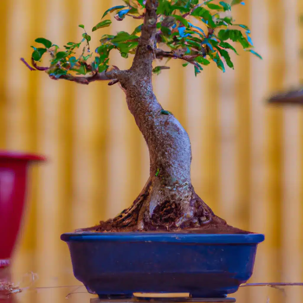 Ideias beneficios nutricionais bonsai Ideias beneficios nutricionais bonsai