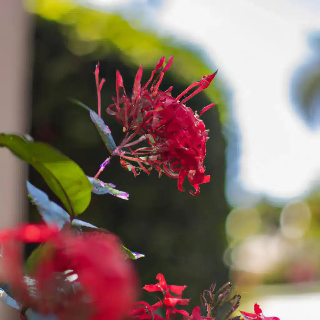 Ideias clima tropical esp flores jardim