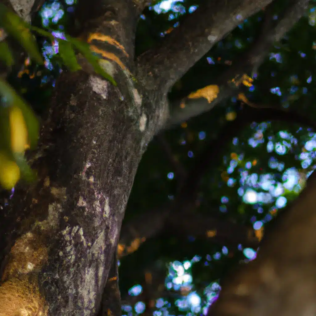 Ideias criacao atmosfera arvores meio ambiente