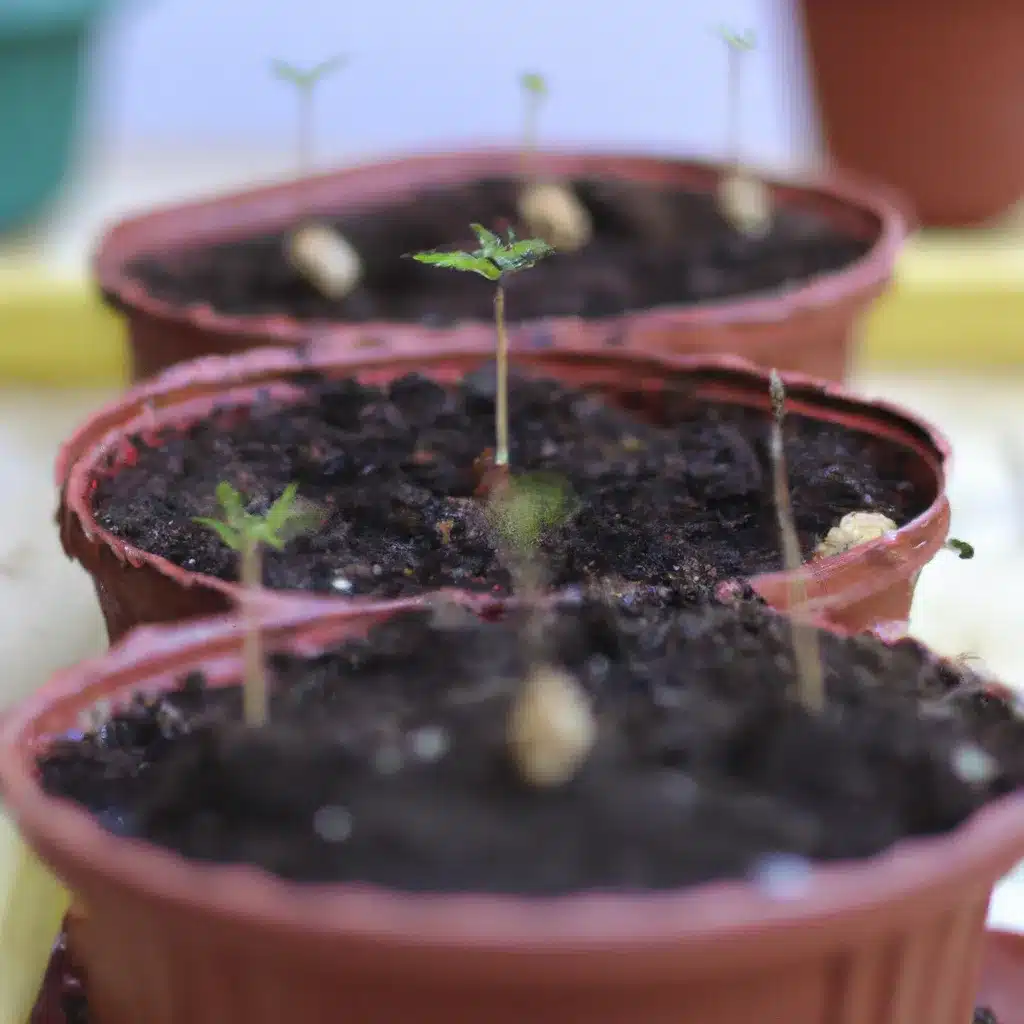 Ideias quais plantas sementes pt