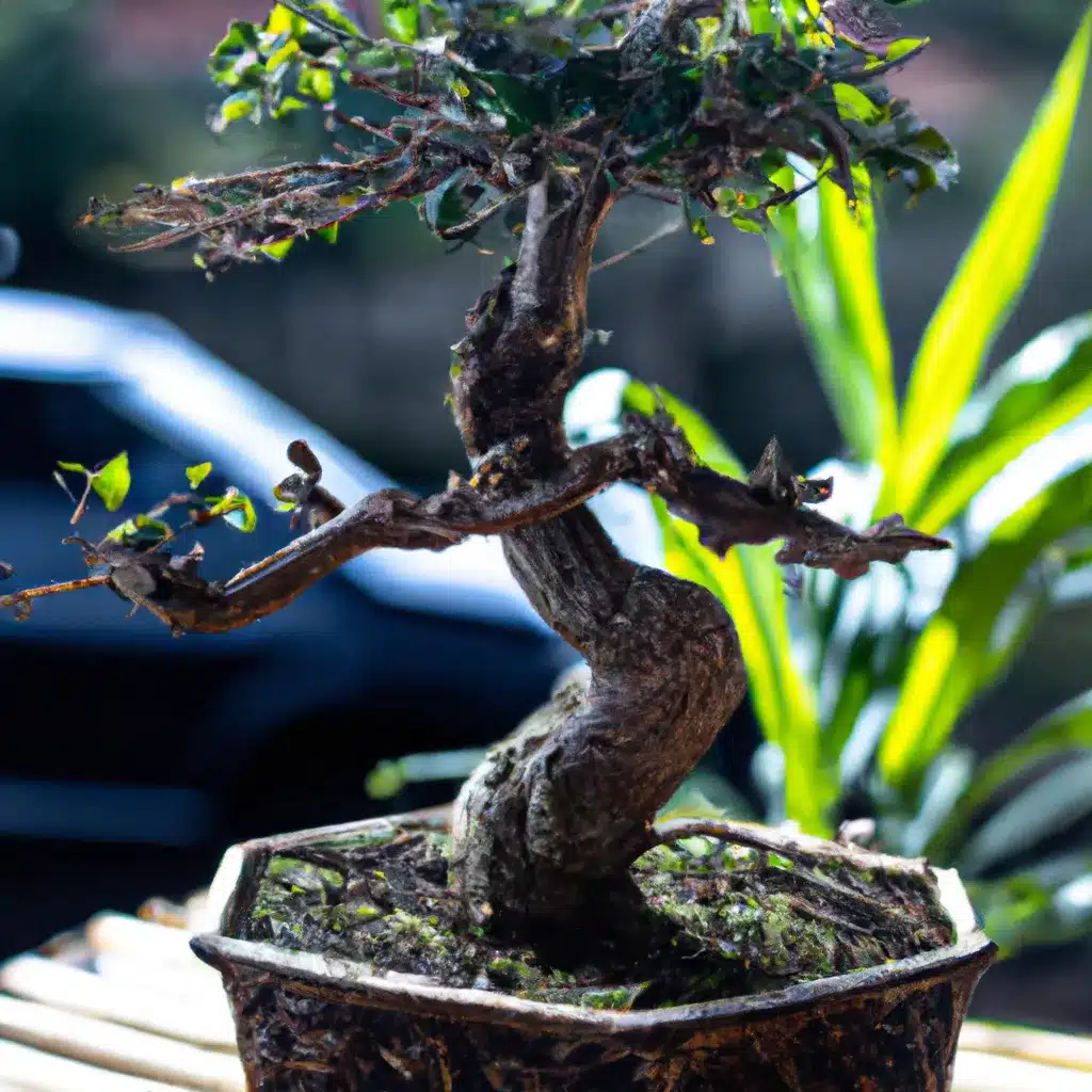 Ideias tecnica bonsai forma influencia arte