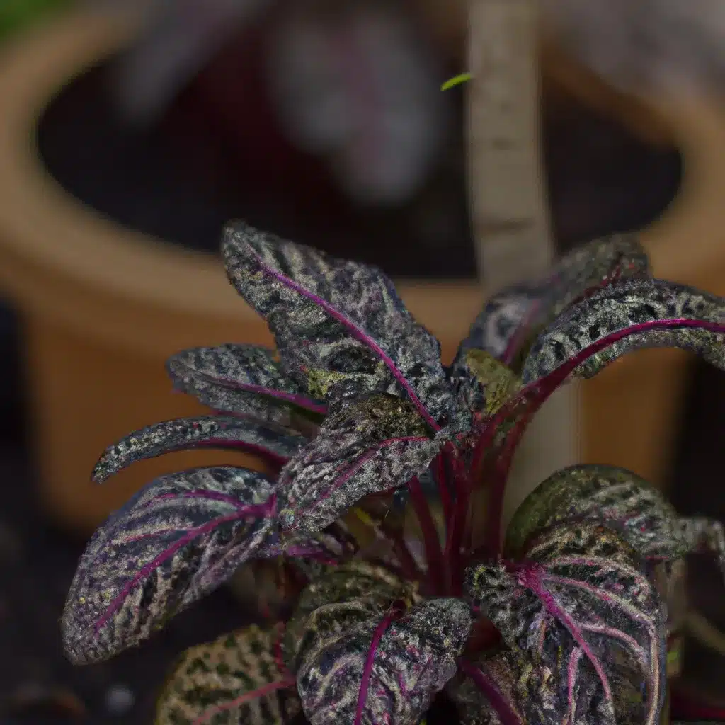 Ideias tecnica cultivar plantas bioma jardim Ideias tecnica cultivar plantas bioma jardim