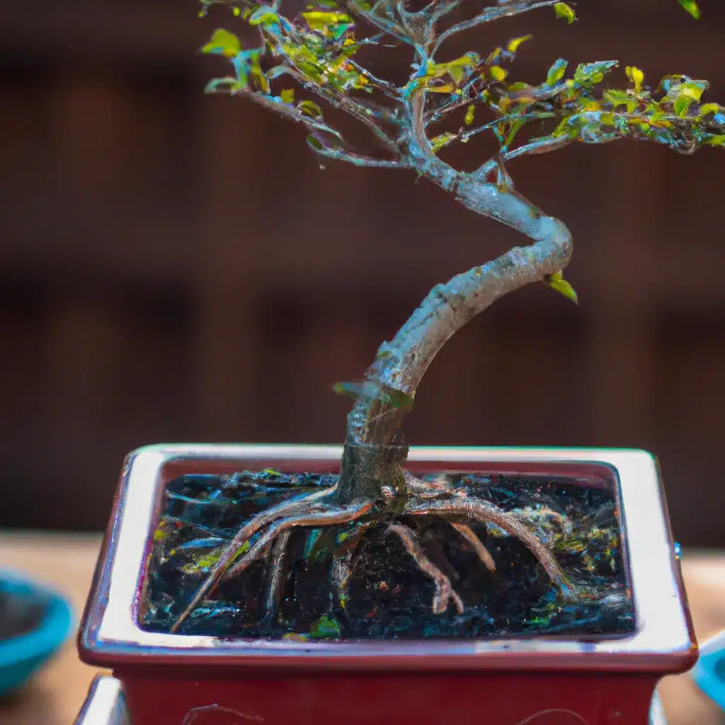 Ideias temperatura bonsai desenvolvimento Ideias temperatura bonsai desenvolvimento