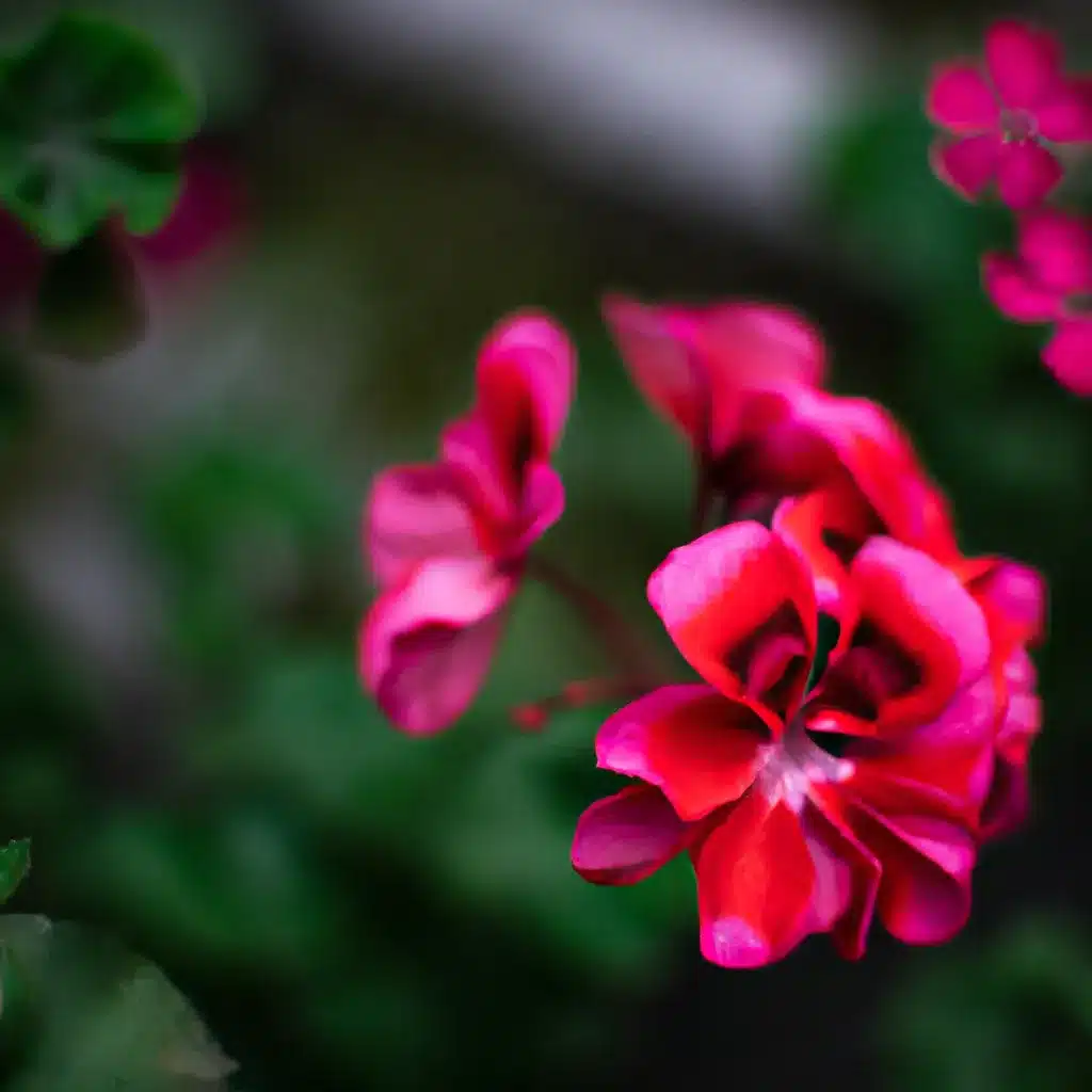 Ideias tipos flores resistem frios