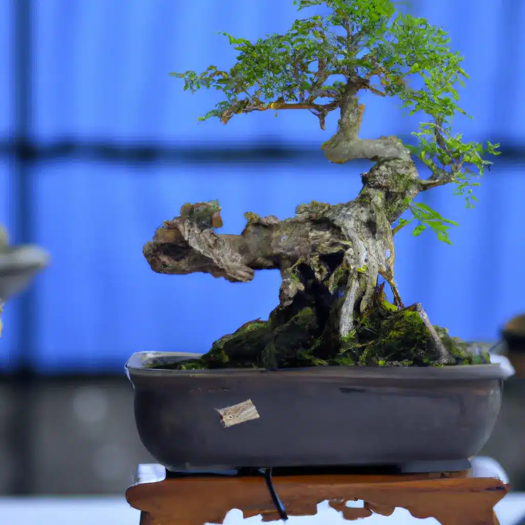 Imagens arte tecnica bonsai formacao