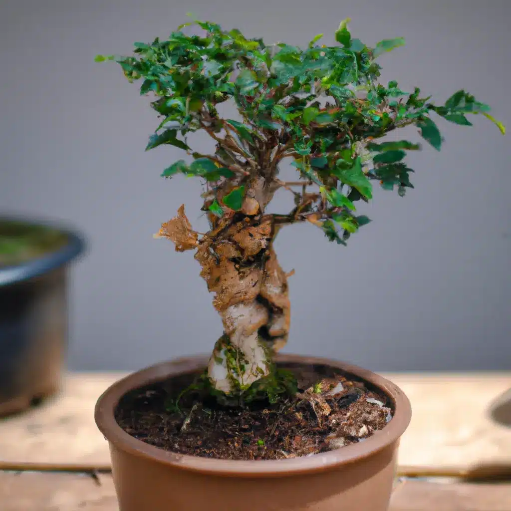 Imagens beneficios nutricionais bonsai Imagens beneficios nutricionais bonsai