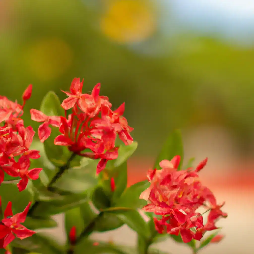 Imagens clima tropical esp flores jardim