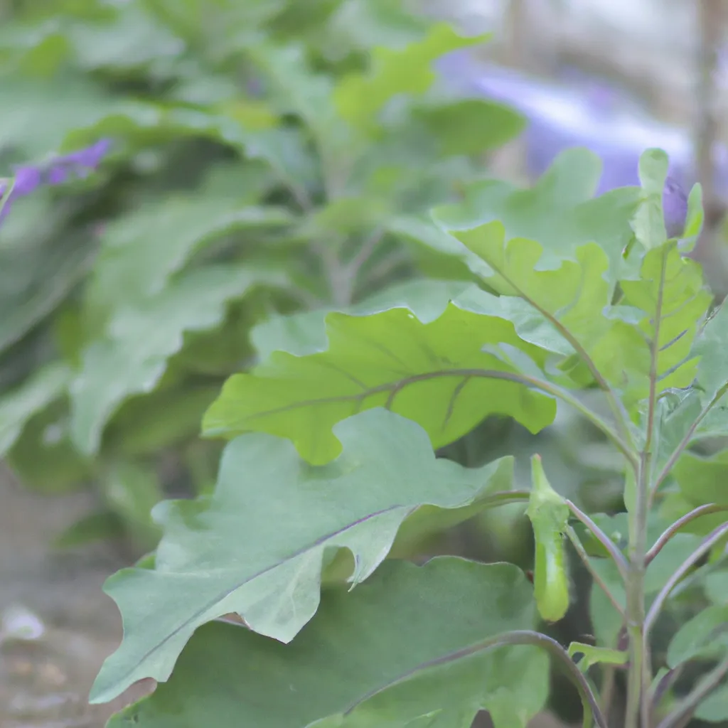 Imagens cultivar hortalicas ano inteiro