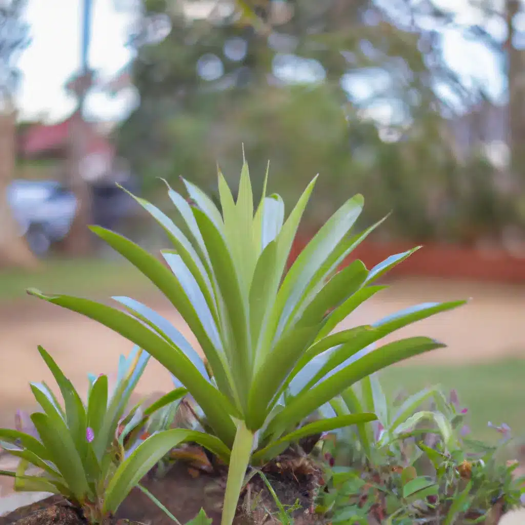 Imagens desenvolver jardim bioma