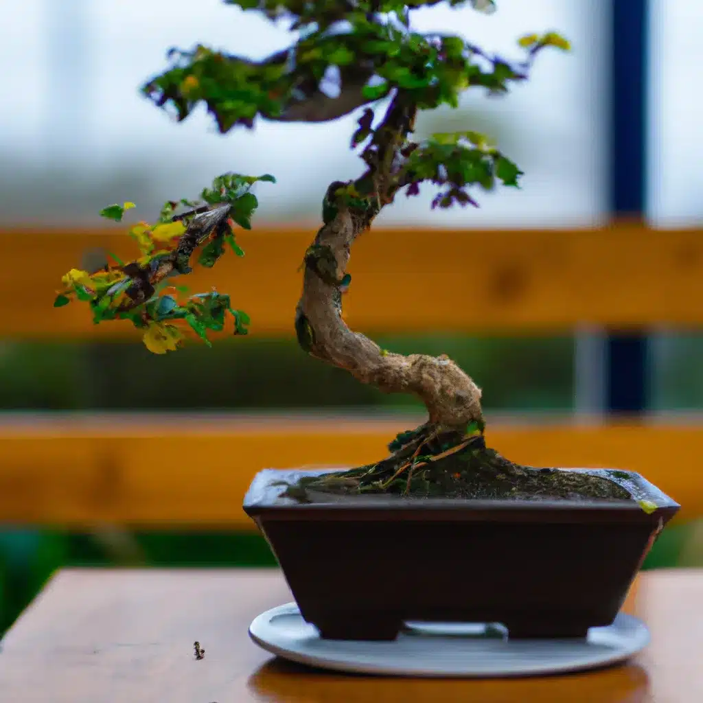 Imagens erros evitar vasos bonsai Imagens erros evitar vasos bonsai