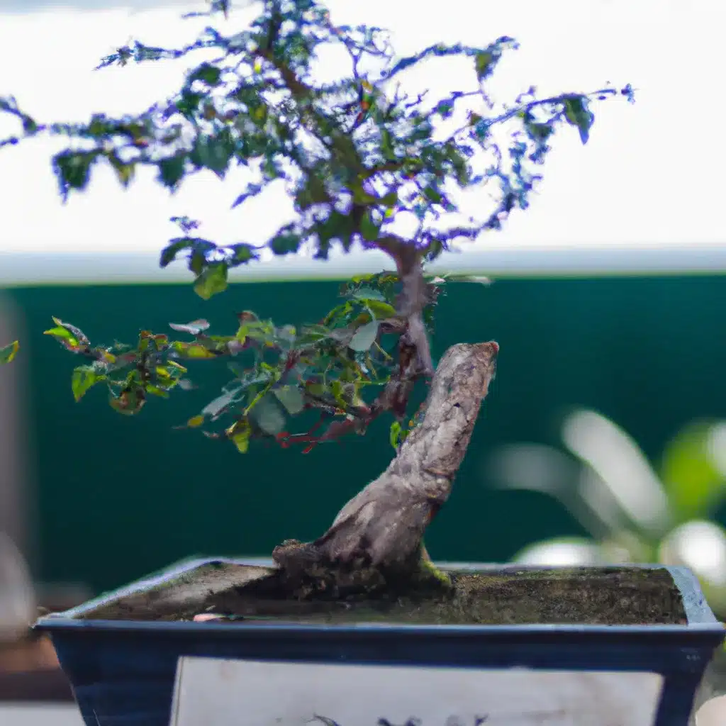 Imagens temperatura bonsai desenvolvimento Imagens temperatura bonsai desenvolvimento