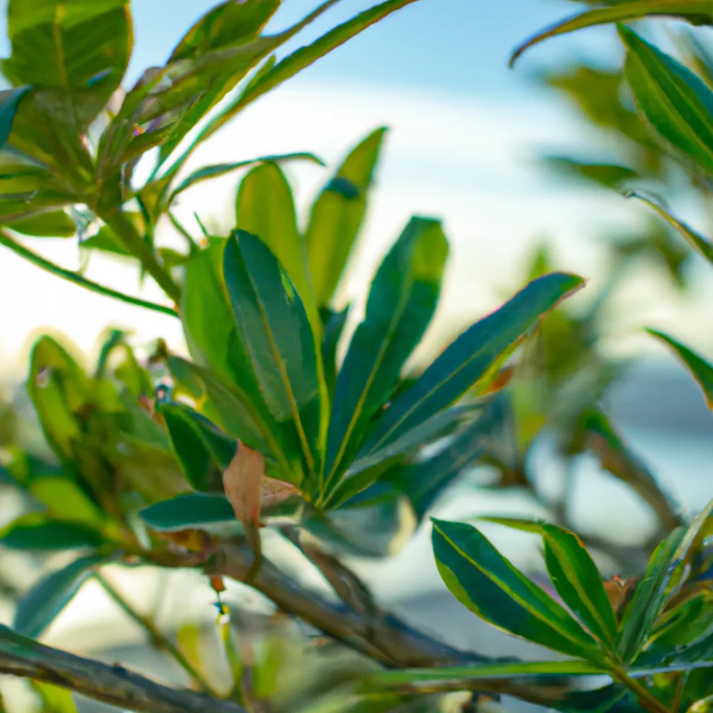 Dicas Arvores para jardins costeiros e a beira mar