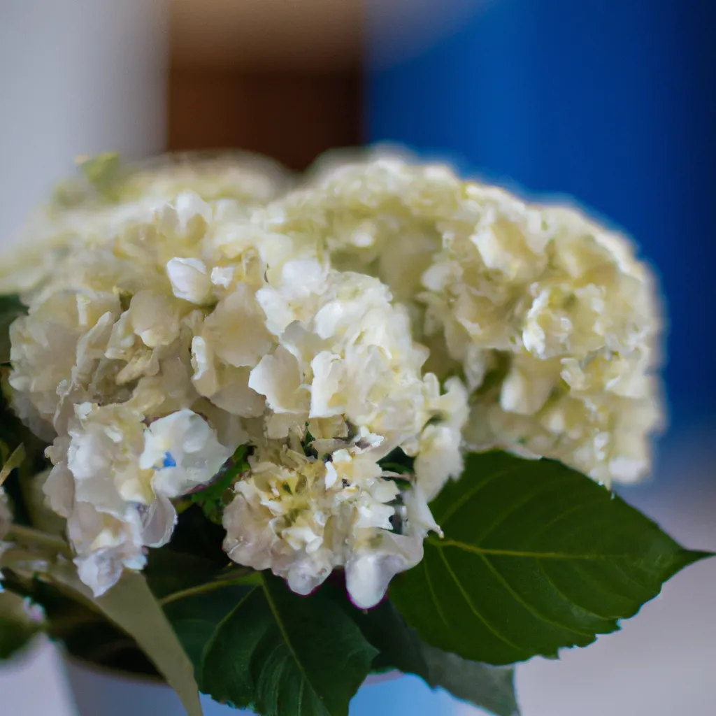 Dicas flores baratas presentear aniversarios