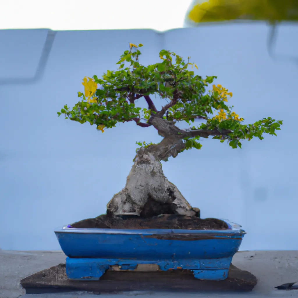 Fotos tipos de bonsai Fotos tipos de bonsai