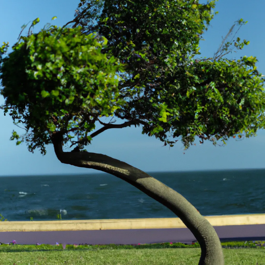 Ideias Arvores para jardins costeiros e a beira mar