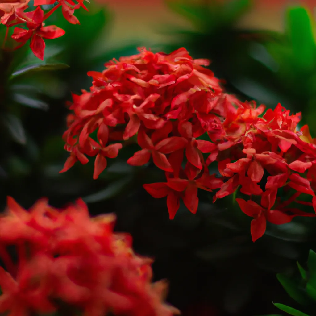 Ideias Flores perenes cor e beleza o ano inteiro Ideias Flores perenes cor e beleza o ano inteiro