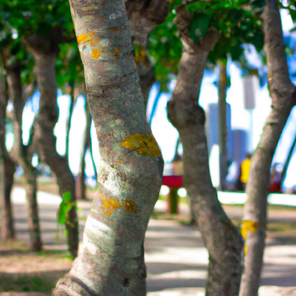 Imagens Arvores para jardins costeiros e a beira mar