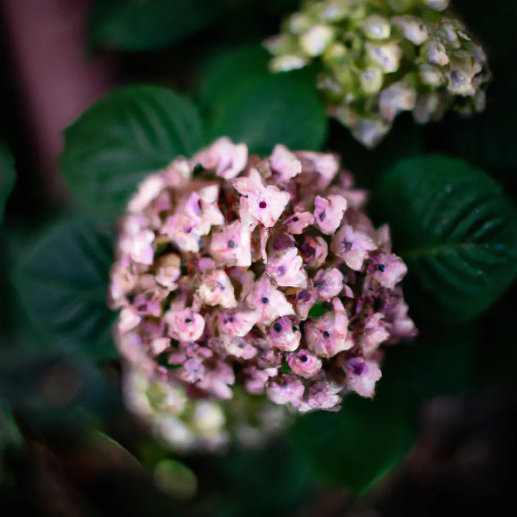 Ideias Flores com padroes fractais