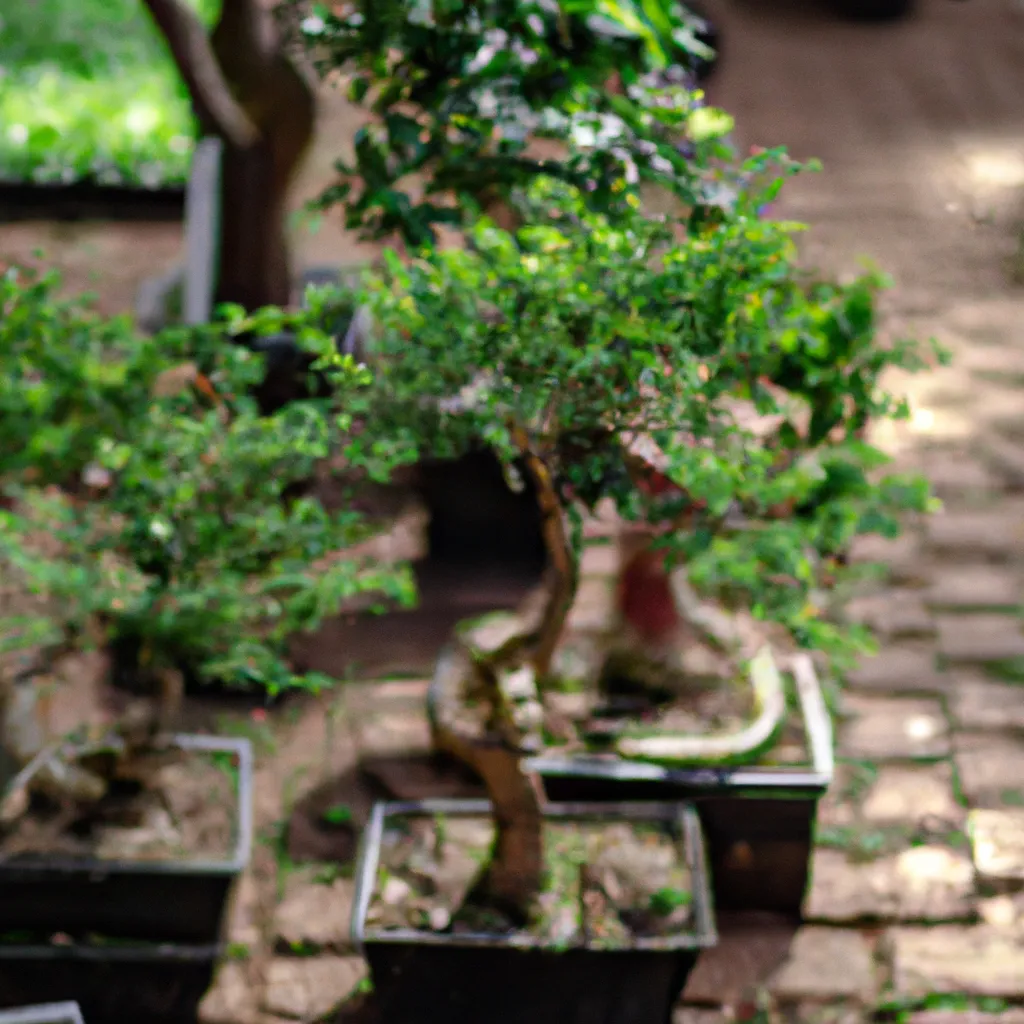 Ideias Plantas para jardins zen Ideias Plantas para jardins zen