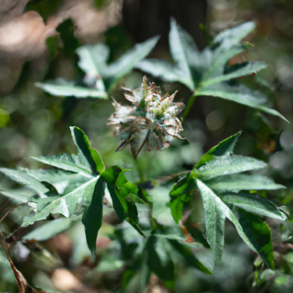 Imagens Plantas que atraem ou repelem animais especificos