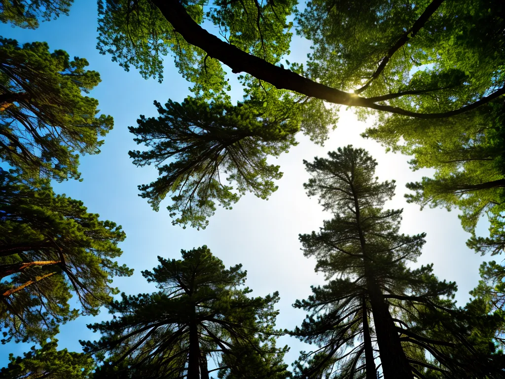 Imagens papel das gimnospermas na historia da vida na terra